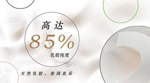 1556158566367370.jpg 夢神乳膠.jpg